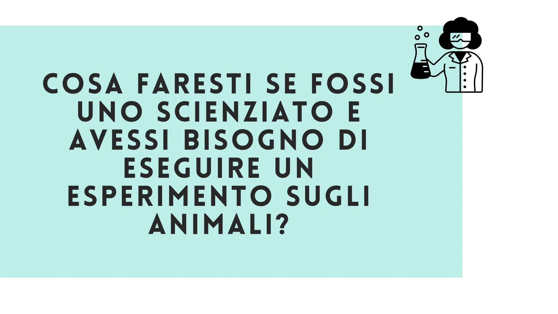 # LA SPERIMENTAZIONE ANIMALE

# È NECESSARIA? # FARMACOLOGIA

# INMUNOLOGIA

# FISIOLOGIA

# BIOLOGIA PENSI CHE LA
SPERIMENTAZIONE
ANIMALE S