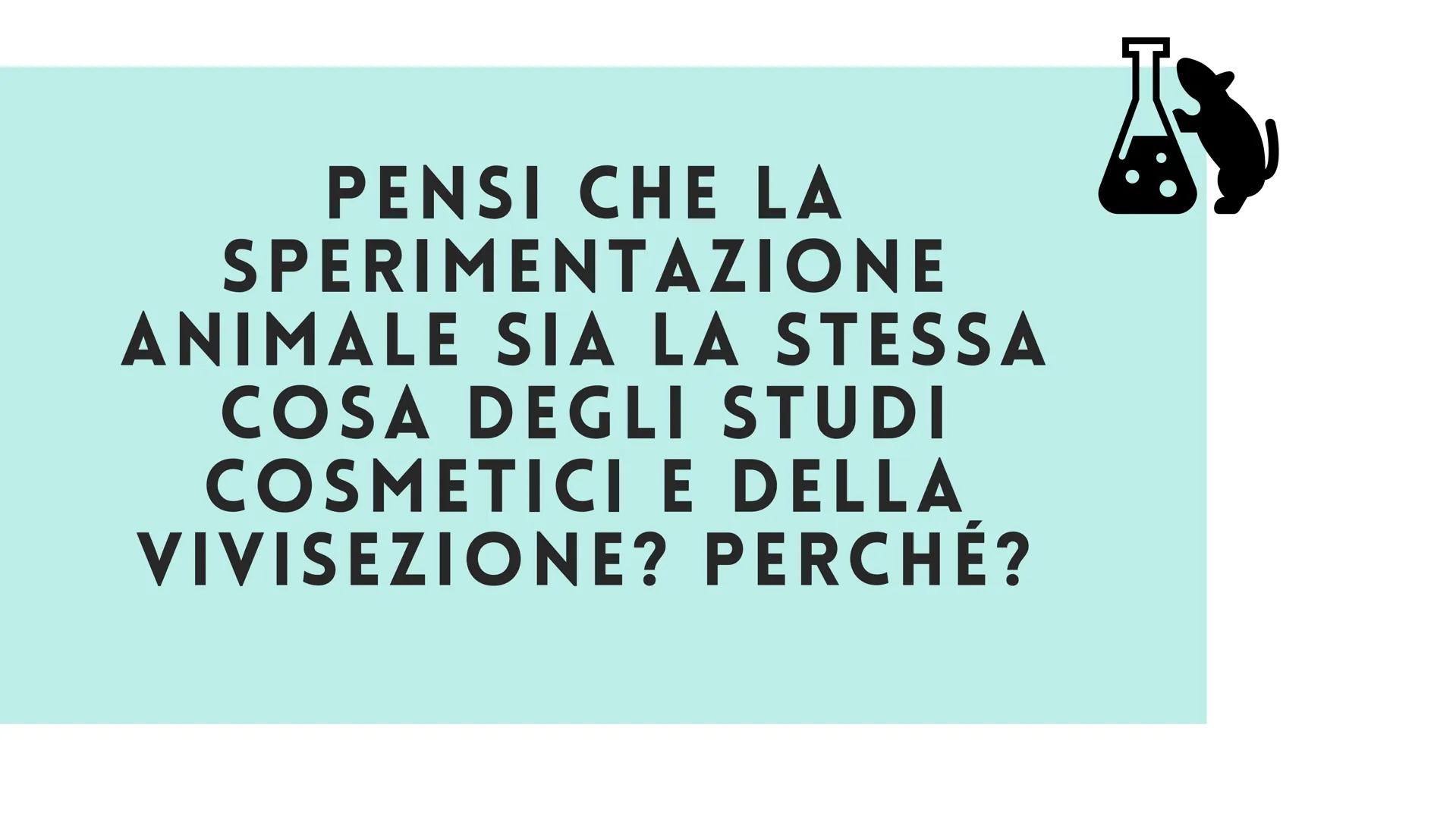 # LA SPERIMENTAZIONE ANIMALE

# È NECESSARIA? # FARMACOLOGIA

# INMUNOLOGIA

# FISIOLOGIA

# BIOLOGIA PENSI CHE LA
SPERIMENTAZIONE
ANIMALE S