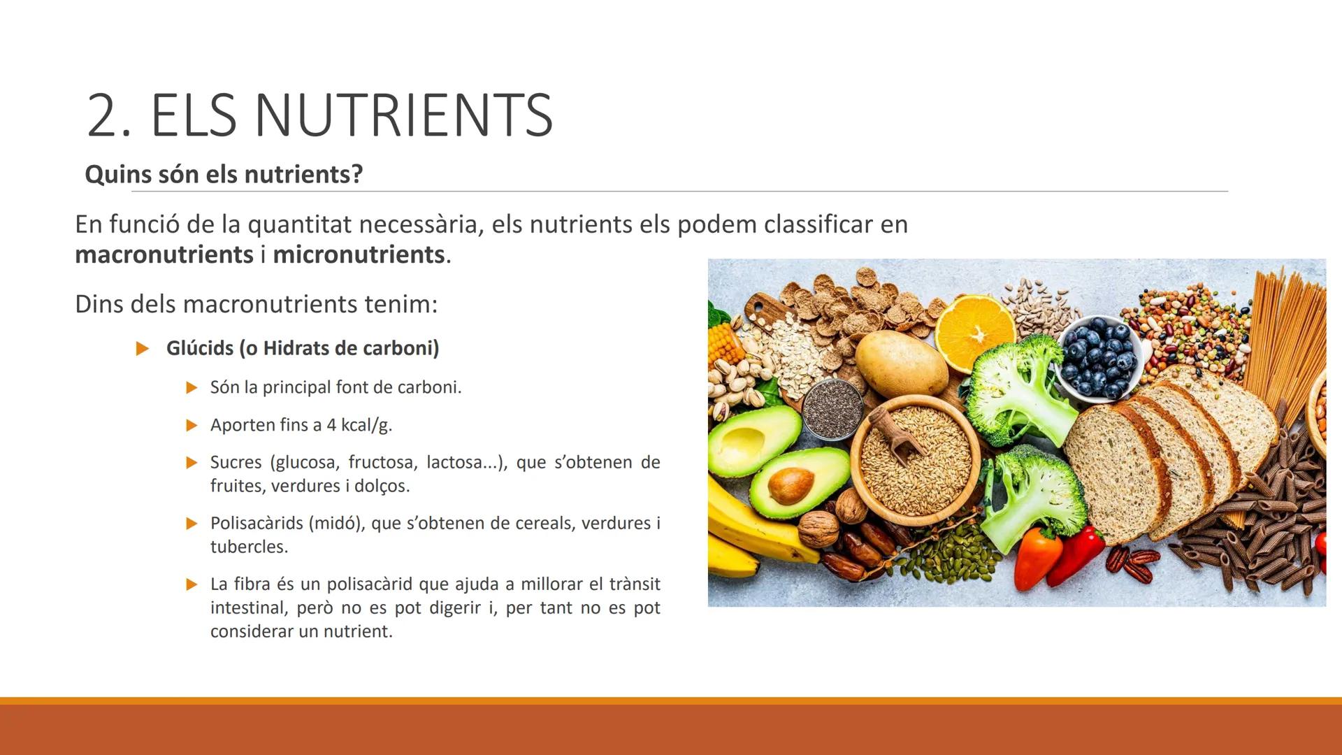 BLOC 2:
L'APARELL DIGESTIU # 1. LA NUTRICIÓ HUMANA

La nutrició humana és el conjunt de processos d'obtenció, transformació i assimilació de