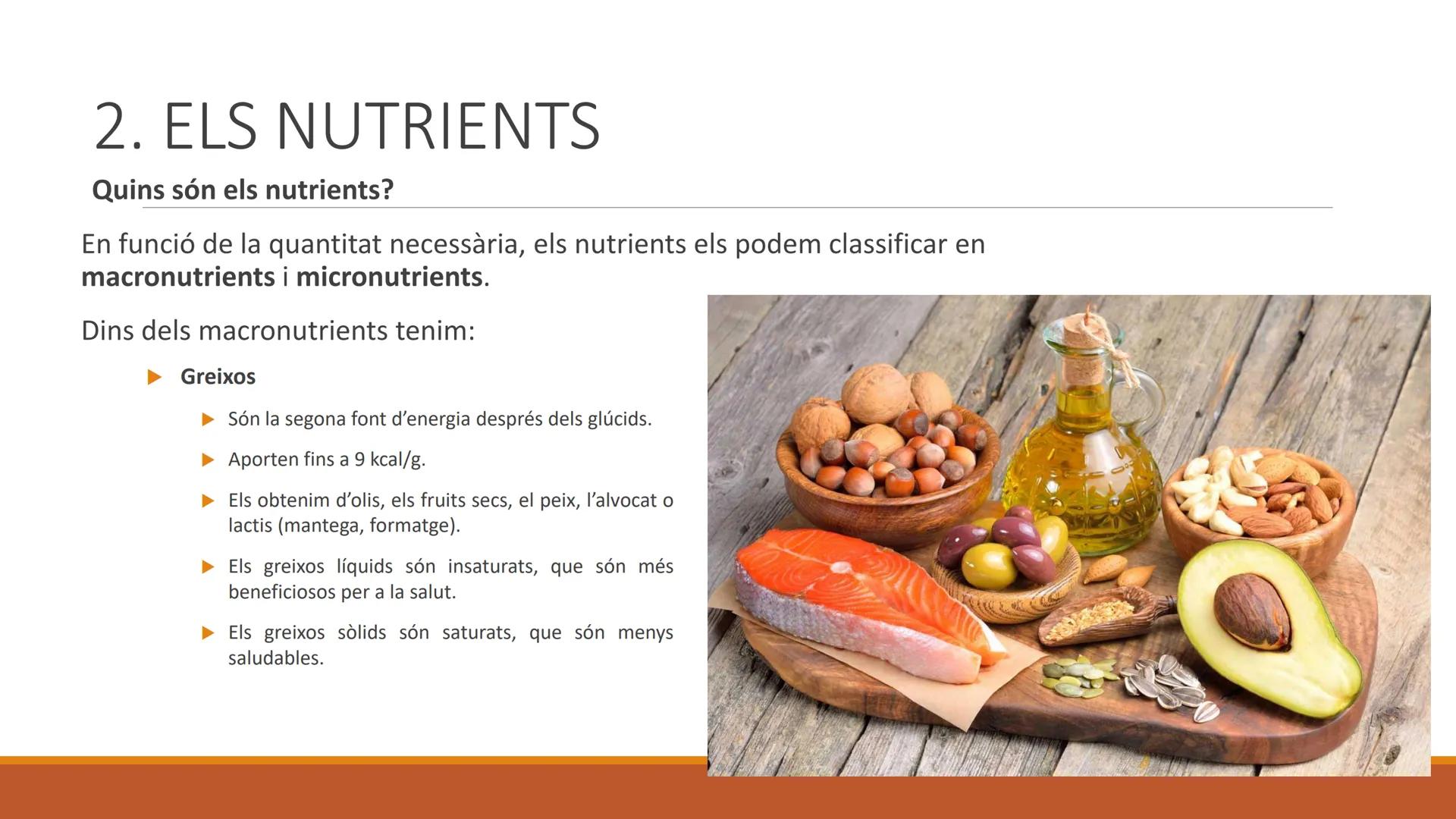 BLOC 2:
L'APARELL DIGESTIU # 1. LA NUTRICIÓ HUMANA

La nutrició humana és el conjunt de processos d'obtenció, transformació i assimilació de
