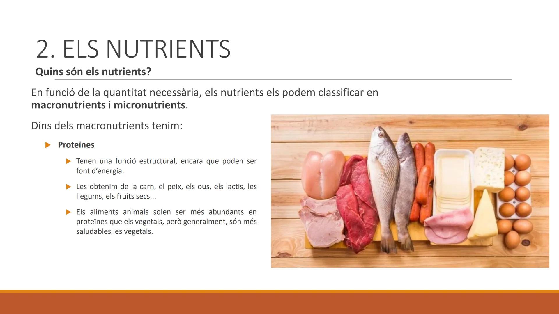 BLOC 2:
L'APARELL DIGESTIU # 1. LA NUTRICIÓ HUMANA

La nutrició humana és el conjunt de processos d'obtenció, transformació i assimilació de