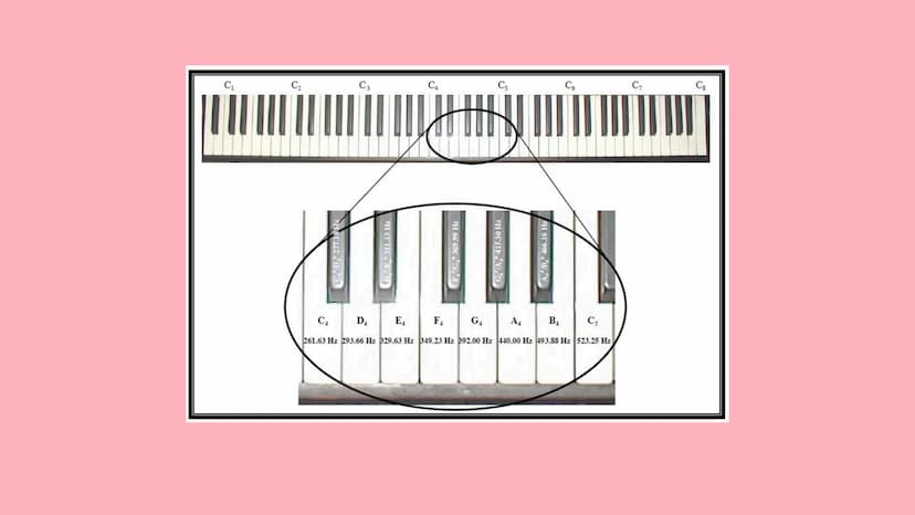 SONIDO CARACTERISTICAS
DEF: SENSACIÓN FÍSICA QUE ESTIMULA LOS OIDOS EN
FORMA DE ONDA LONGITUDINAL
1.
2.
la rapidez del sonido es diferentes 