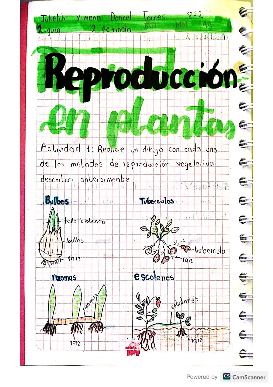Theth Ximena Doncel Torres 8-2
2 guia
2 Periodo DD
MM
Reproducción
en plantas:
Actividad 1: Realice un dibujo con cada uno
de los metodos de