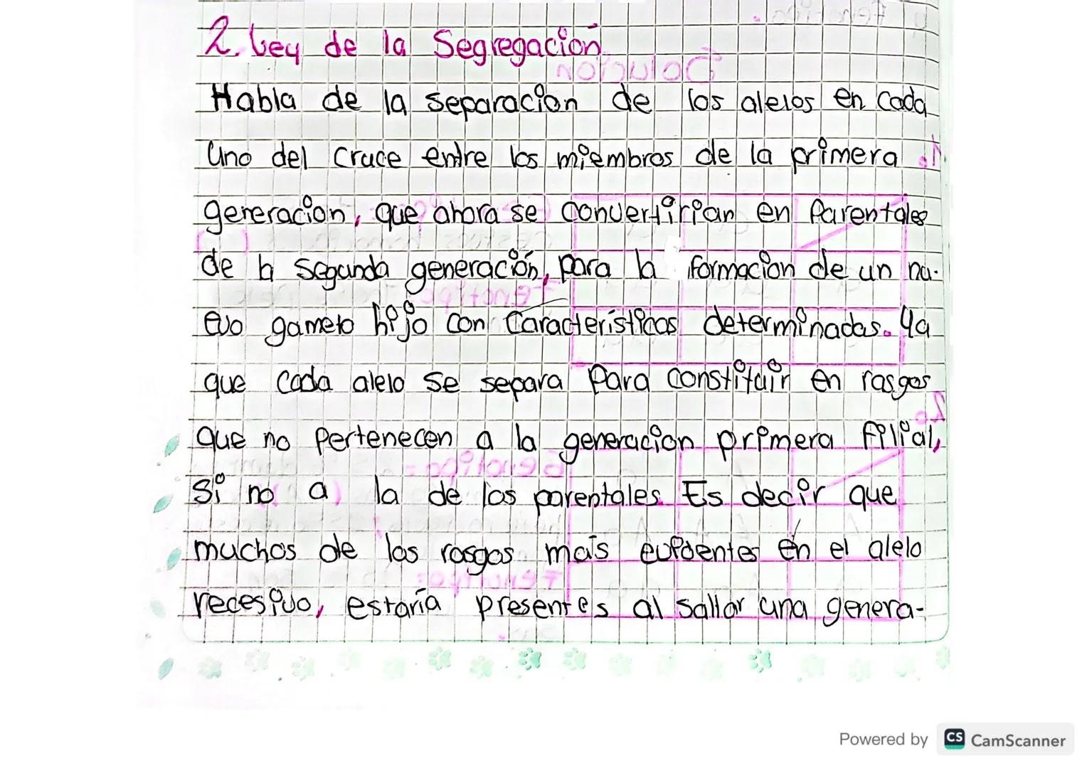 2. bey de la Segregacion

Habla de la separacion de los alelos en cada

Uno del cruce entre los miembros de la primera

generacion, que ahor