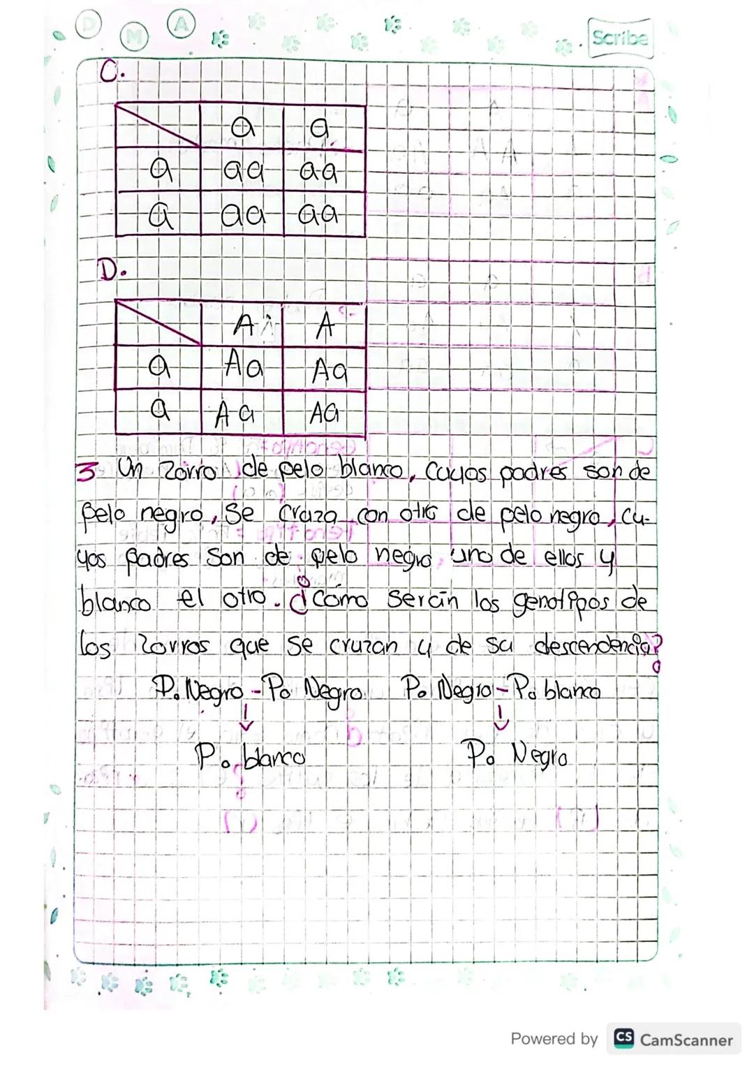 2. bey de la Segregacion

Habla de la separacion de los alelos en cada

Uno del cruce entre los miembros de la primera

generacion, que ahor