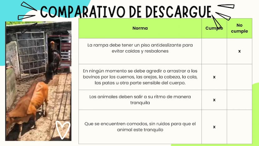 INTRODUCCIÓN
A continuación describiremos como debe ser el correcto funcionamiento de la
infraestructura del camal y de acuerdo a la activid