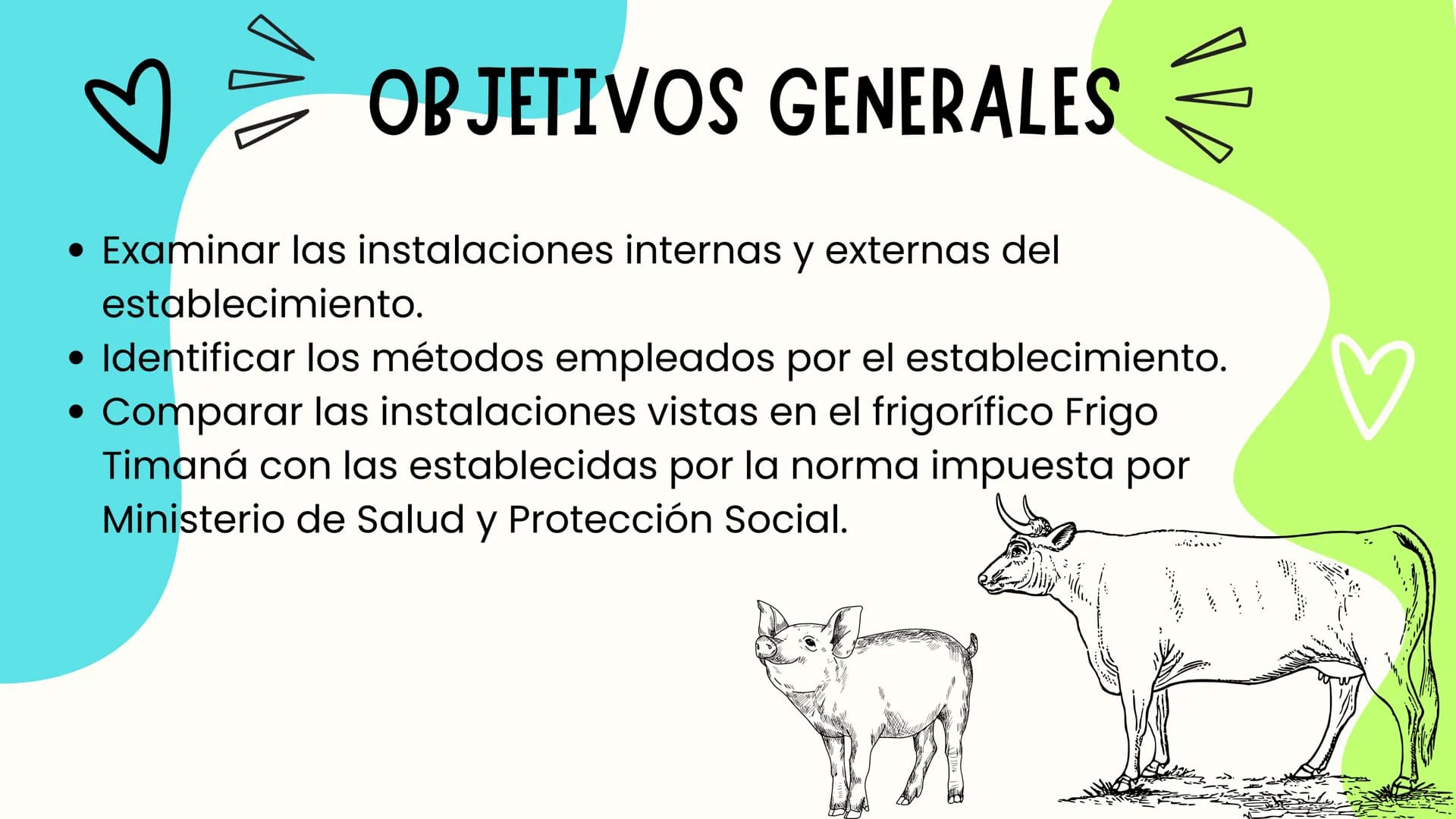 INTRODUCCIÓN
A continuación describiremos como debe ser el correcto funcionamiento de la
infraestructura del camal y de acuerdo a la activid