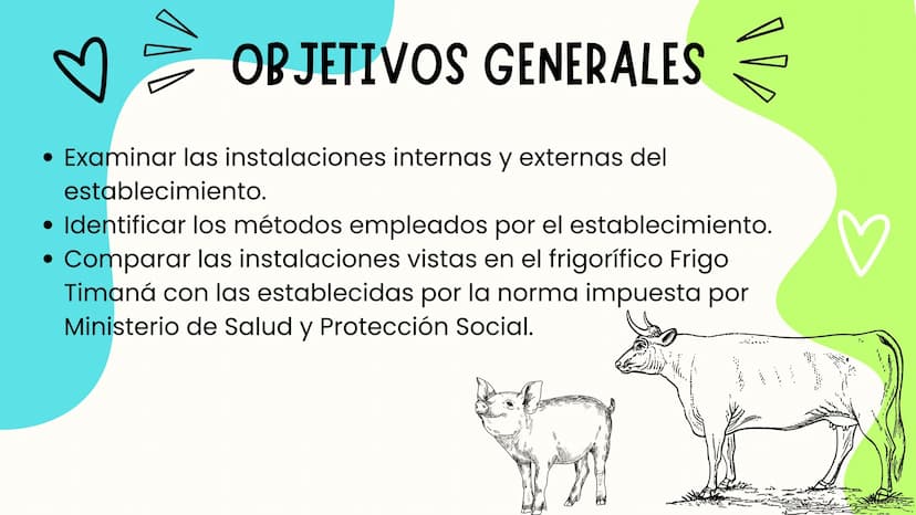 INTRODUCCIÓN
A continuación describiremos como debe ser el correcto funcionamiento de la
infraestructura del camal y de acuerdo a la activid