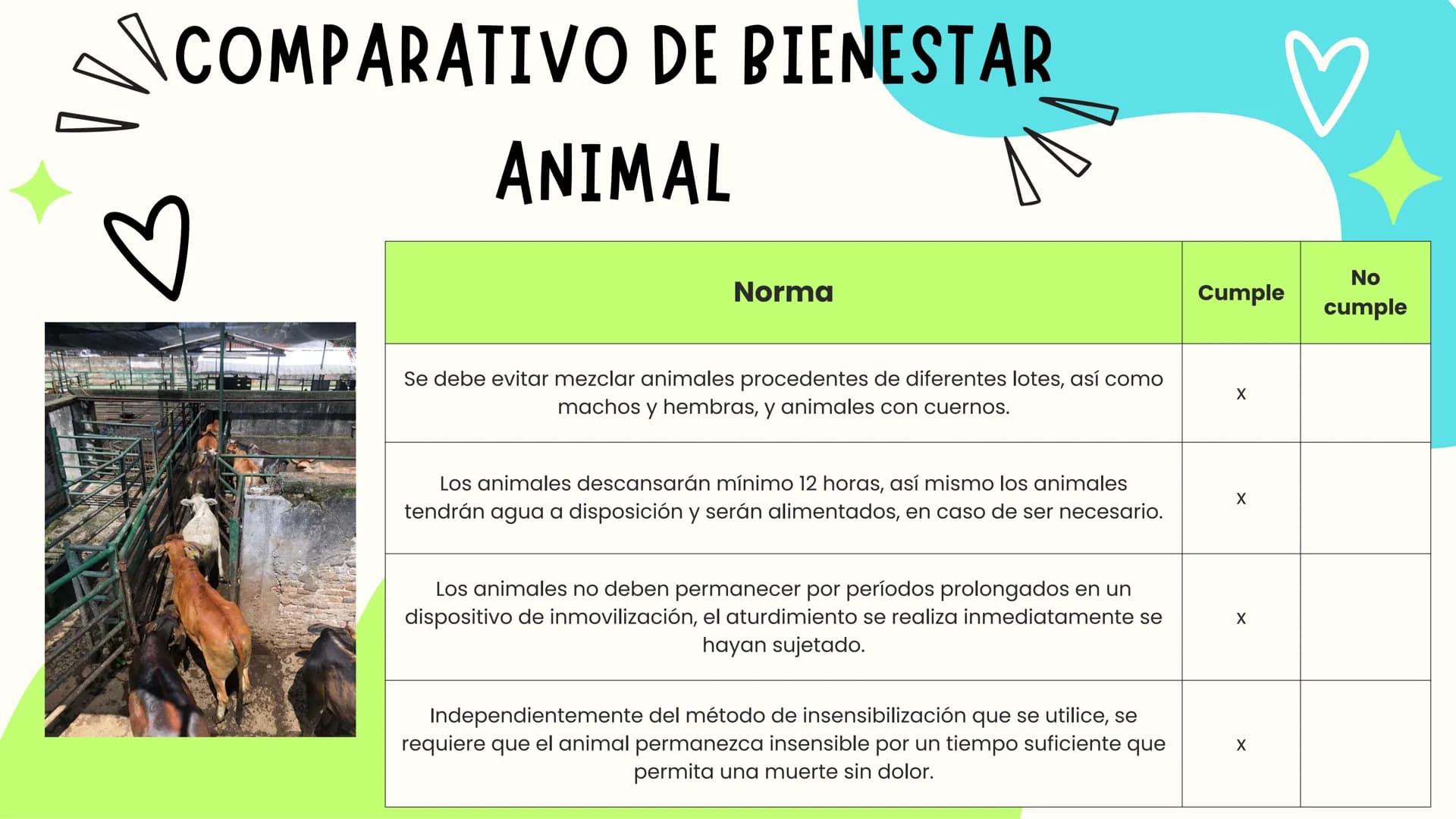 INTRODUCCIÓN
A continuación describiremos como debe ser el correcto funcionamiento de la
infraestructura del camal y de acuerdo a la activid