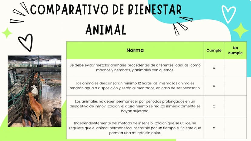 INTRODUCCIÓN
A continuación describiremos como debe ser el correcto funcionamiento de la
infraestructura del camal y de acuerdo a la activid