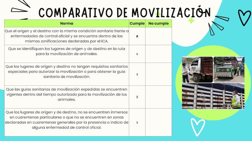 INTRODUCCIÓN
A continuación describiremos como debe ser el correcto funcionamiento de la
infraestructura del camal y de acuerdo a la activid