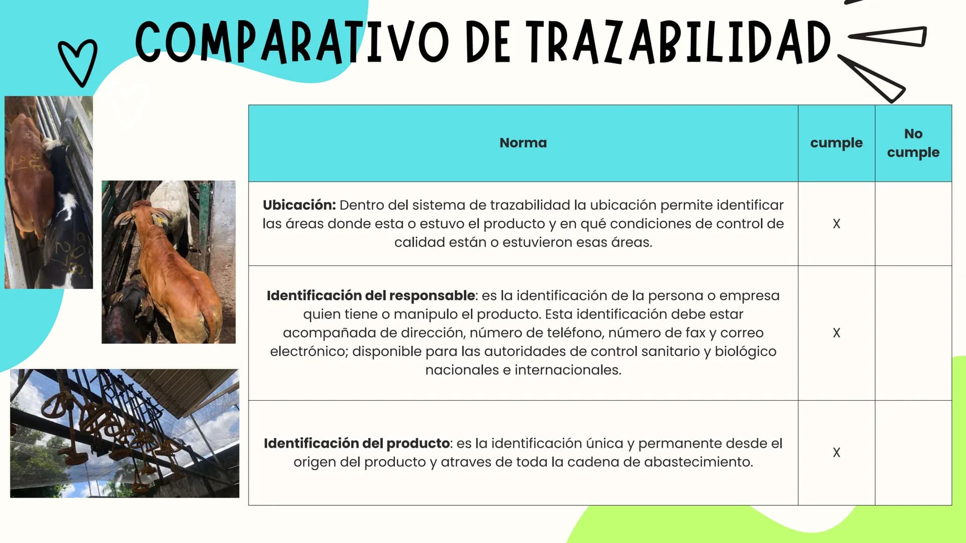 INTRODUCCIÓN
A continuación describiremos como debe ser el correcto funcionamiento de la
infraestructura del camal y de acuerdo a la activid