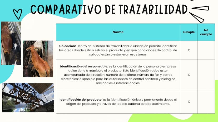 INTRODUCCIÓN
A continuación describiremos como debe ser el correcto funcionamiento de la
infraestructura del camal y de acuerdo a la activid
