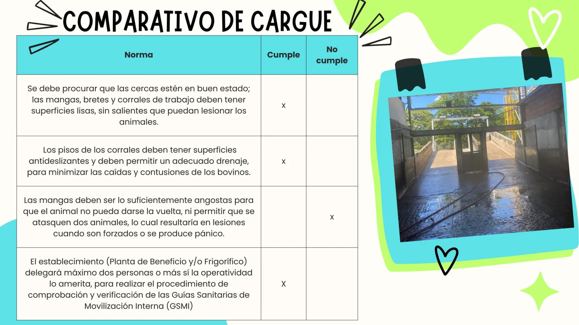INTRODUCCIÓN
A continuación describiremos como debe ser el correcto funcionamiento de la
infraestructura del camal y de acuerdo a la activid