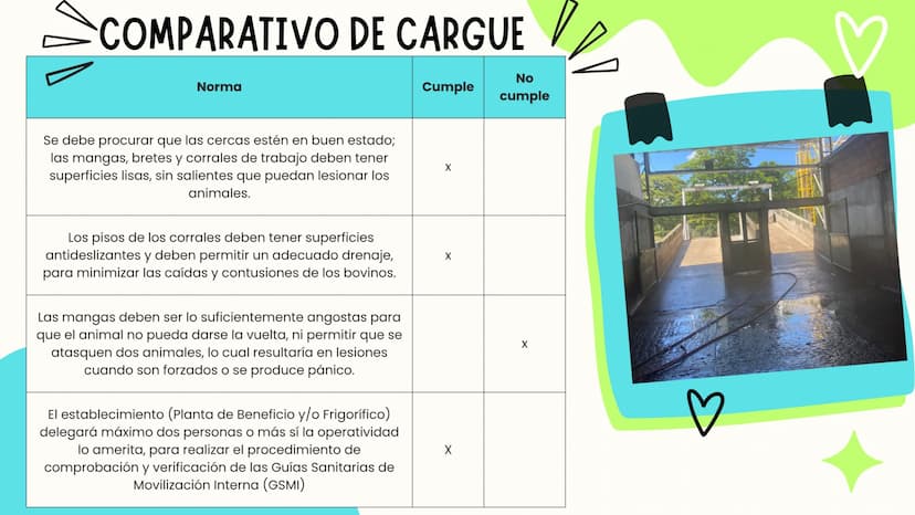 INTRODUCCIÓN
A continuación describiremos como debe ser el correcto funcionamiento de la
infraestructura del camal y de acuerdo a la activid