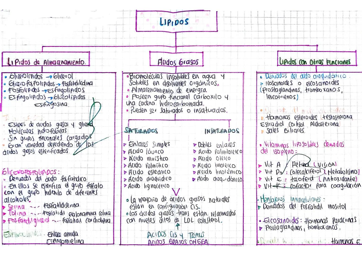LIPIDOS
3
Pidos de Almacenamiento.
Glicerolipidos 6/1101
-
7
Glicero fosfolipidos Fosfatidiliding
Fosfolipidos Esfingolipidos
Esfingolipidos