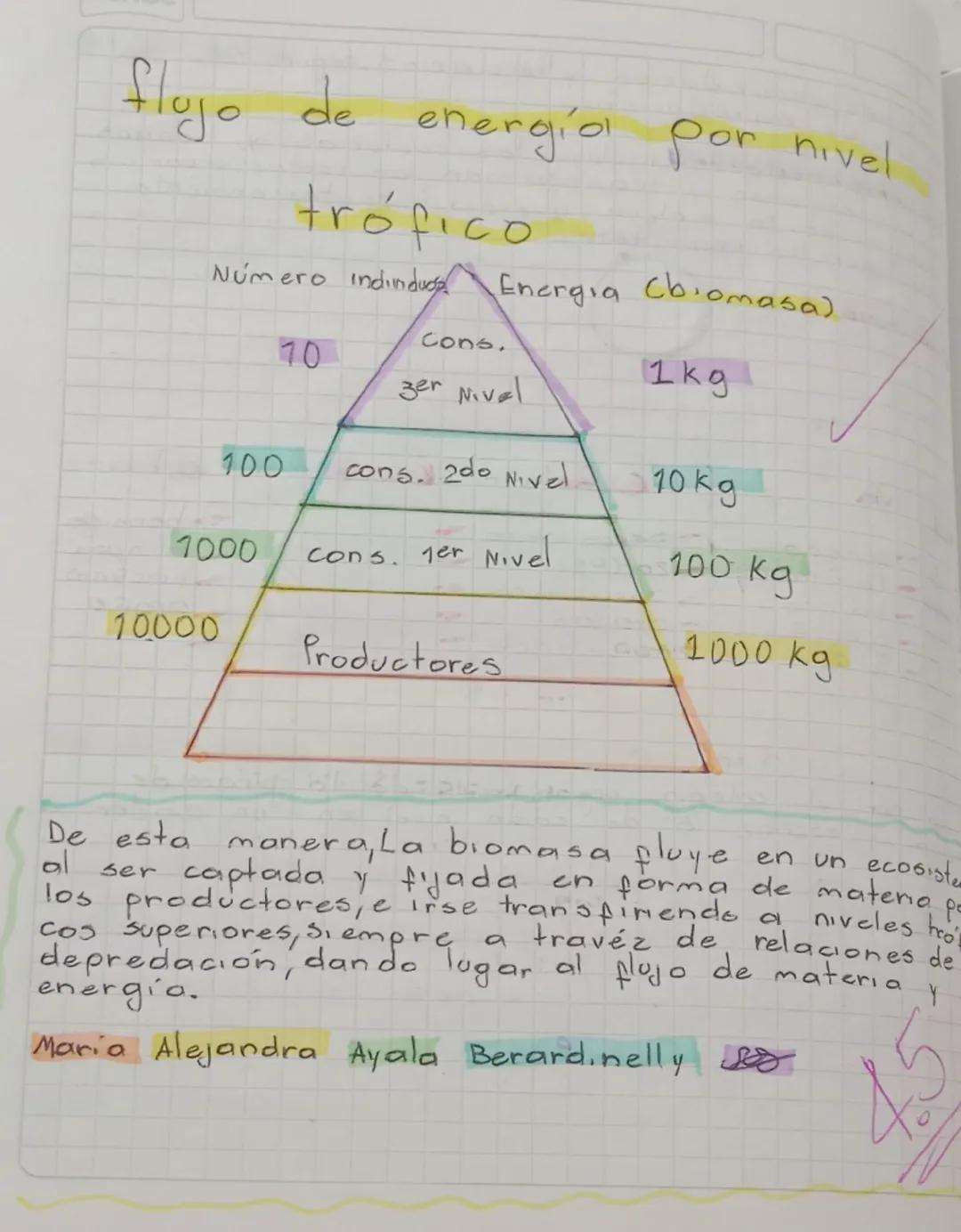 # flujo de energía por nivel

# trófico
Número indin duợp
Energia (biomasa).

70

100

1000

10000

cons.
zer Nivel

cons. 2do Nivel

cons. 