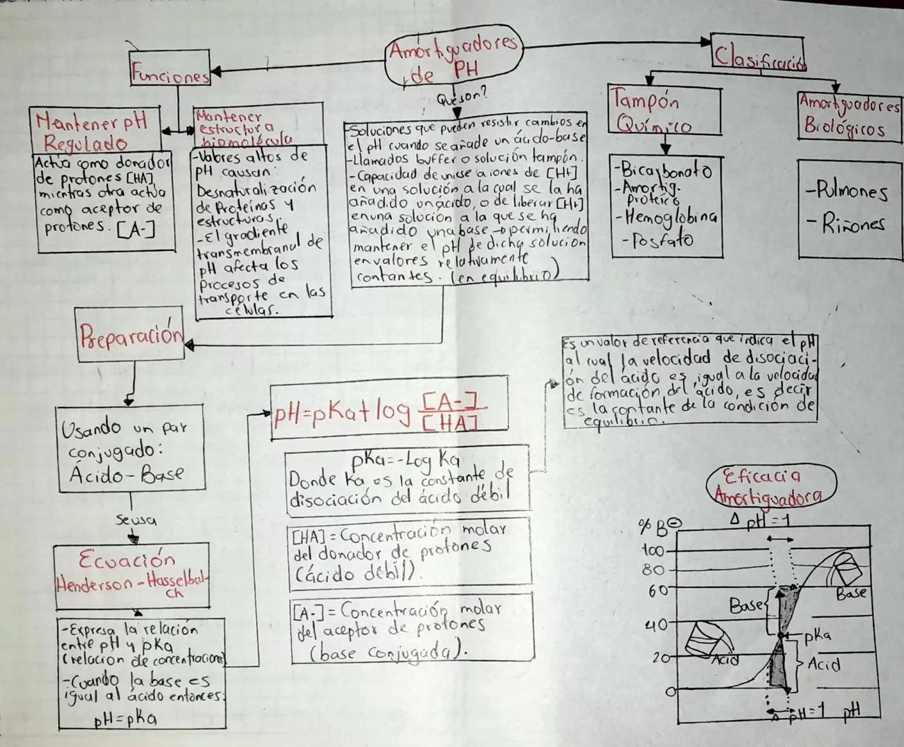 Funciones

Mantener pH
Regulado

Actua como donador
de protones [HA]
mientras otra actua
como aceptor de
protones. [A-]

Preparación

Usando