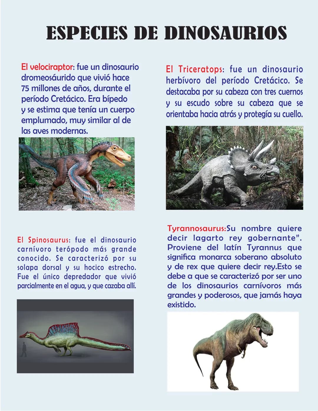 ESPECIES DE DINOSAURIOS
El velociraptor: fue un dinosaurio
dromeosaurido que vivió hace
75 millones de años, durante el
período Cretácico. E