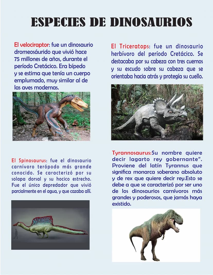 ESPECIES DE DINOSAURIOS
El velociraptor: fue un dinosaurio
dromeosaurido que vivió hace
75 millones de años, durante el
período Cretácico. E