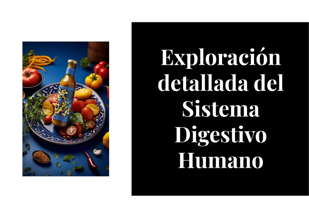 Sistema digestivo 