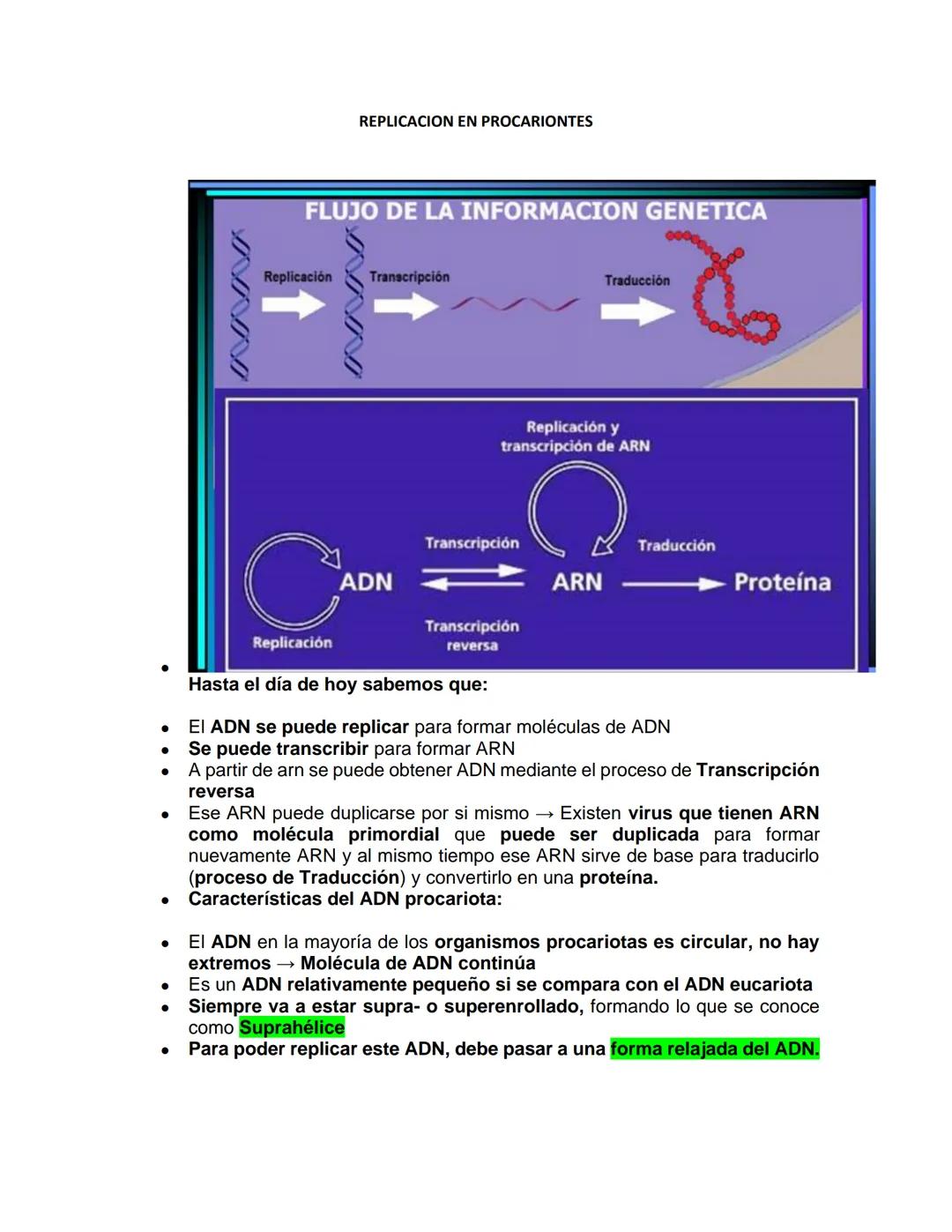 NINNI
REPLICACION EN PROCARIONTES
FLUJO DE LA INFORMACION GENETICA
Replicación
INNIN
Transcripción
Traducción
Replicación y
transcripción de