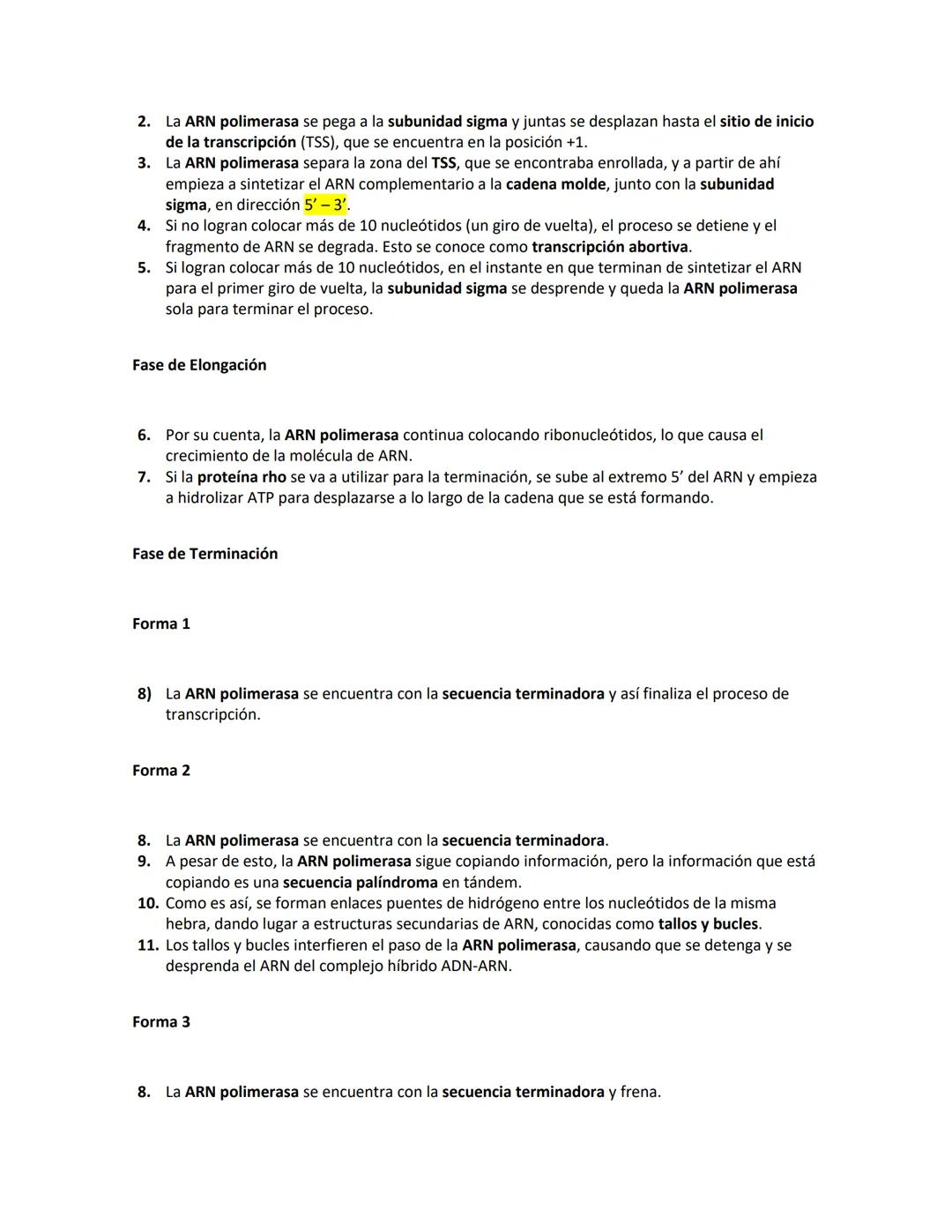 NINNI
REPLICACION EN PROCARIONTES
FLUJO DE LA INFORMACION GENETICA
Replicación
INNIN
Transcripción
Traducción
Replicación y
transcripción de
