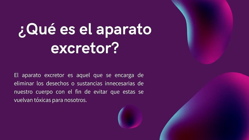 Aparato Excretor
HUMANO ¿Qué es el aparato
excretor?
El aparato excretor es aquel que se encarga de
eliminar los desechos o sustancias innec