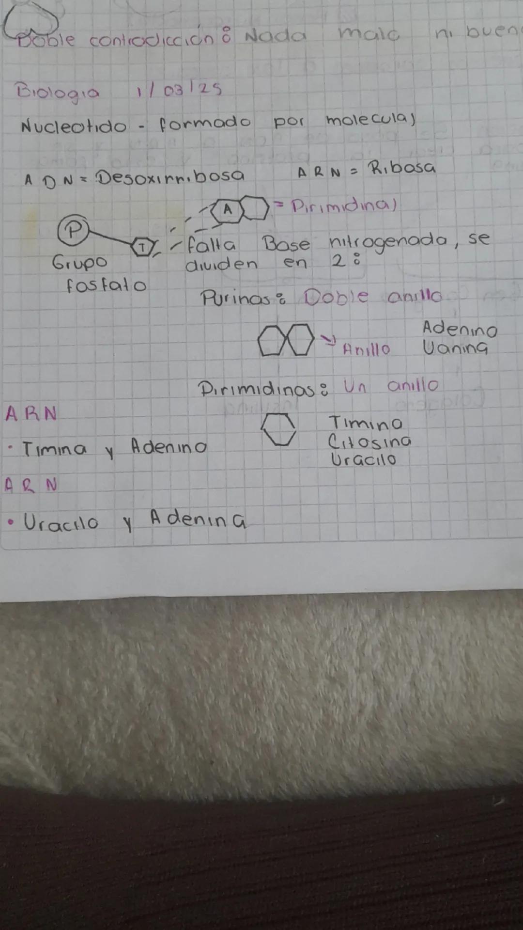 Doble contradicción : Nada malo ni buen
Biologia 1/03/25
Nucleotido - formado por molecula)
ADN = Desoxirribosa ARN = Ribosa
P
A → Pirimidin