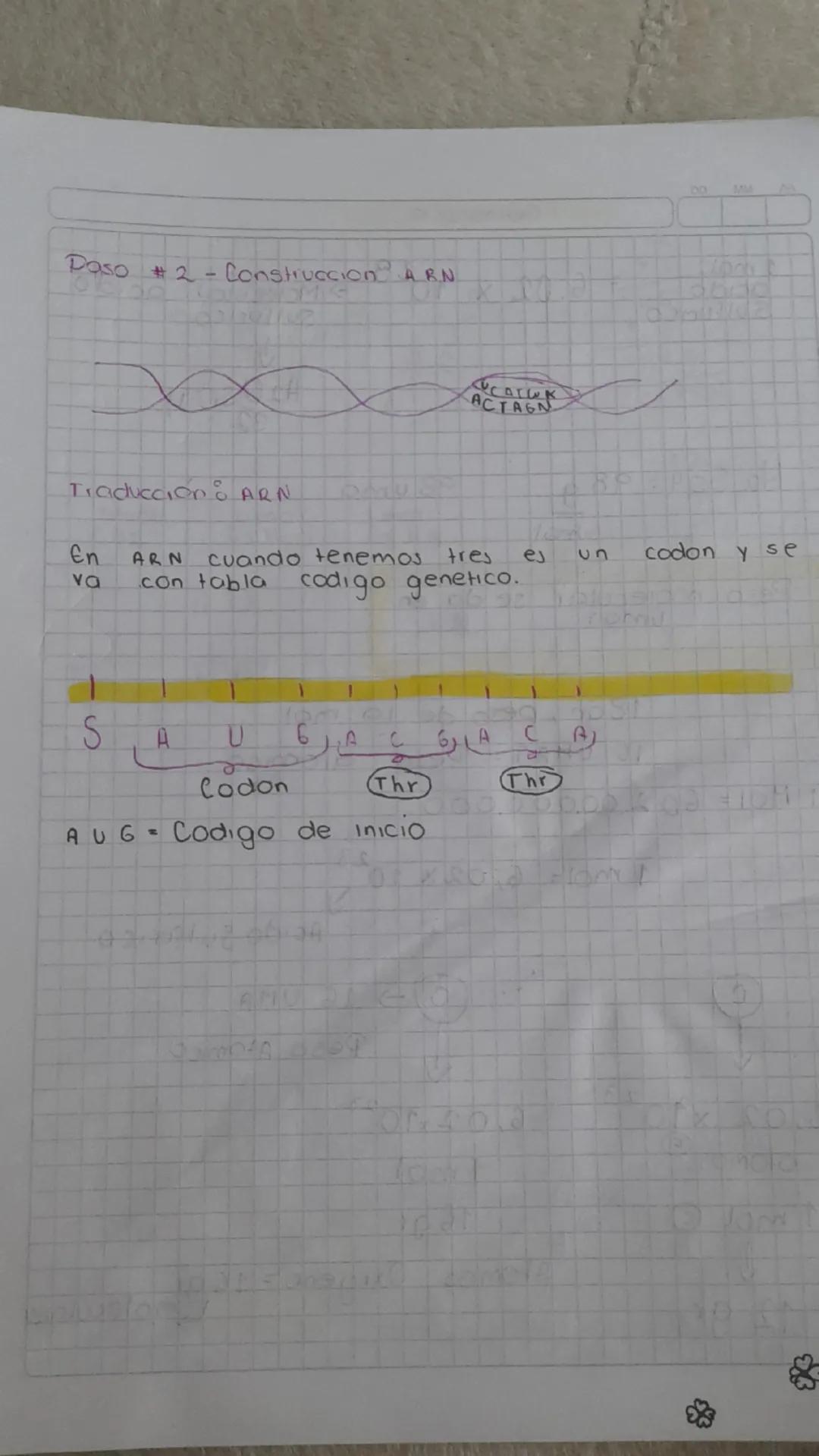 Doble contradicción : Nada malo ni buen
Biologia 1/03/25
Nucleotido - formado por molecula)
ADN = Desoxirribosa ARN = Ribosa
P
A → Pirimidin