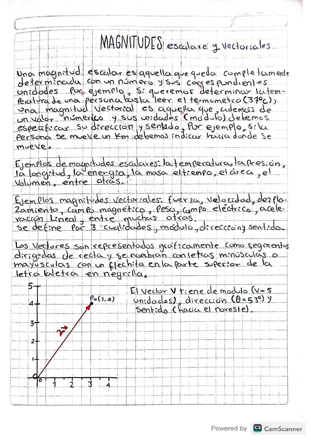 Magnitudes escalar y vectorial 