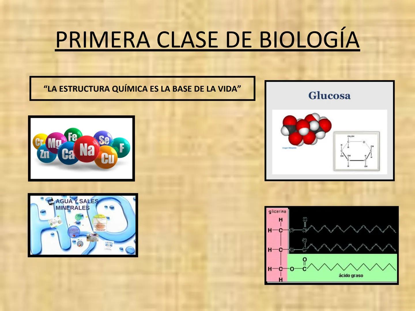 # PRIMERA CLASE DE BIOLOGÍA

"LA ESTRUCTURA QUÍMICA ES LA BASE DE LA VIDA"

Fe
Cr Mg
Zn Ca Na
Se
F
Cu

AGUA Y SALES
MINERALES

Glucosa

glic