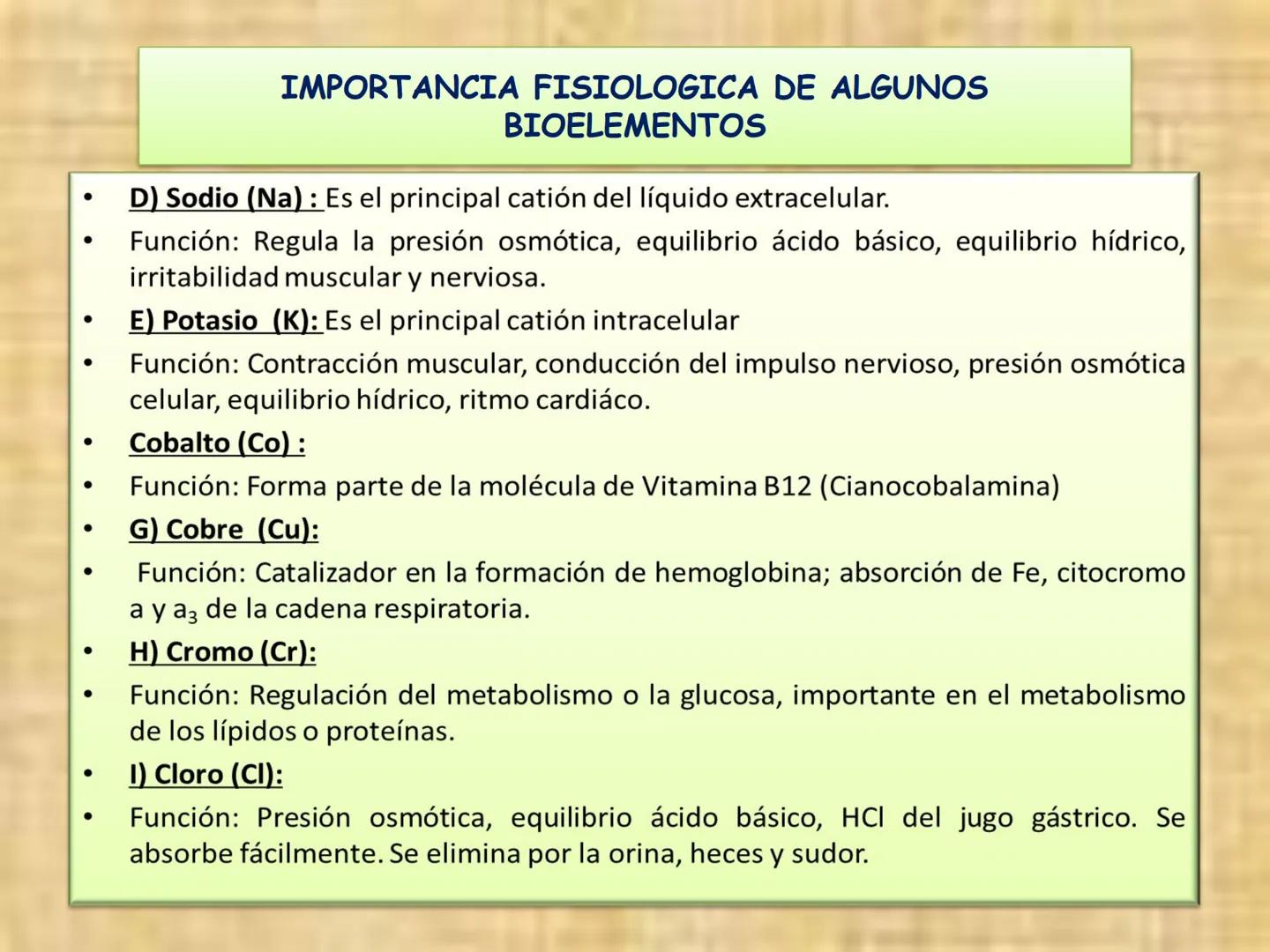 # PRIMERA CLASE DE BIOLOGÍA

"LA ESTRUCTURA QUÍMICA ES LA BASE DE LA VIDA"

Fe
Cr Mg
Zn Ca Na
Se
F
Cu

AGUA Y SALES
MINERALES

Glucosa

glic