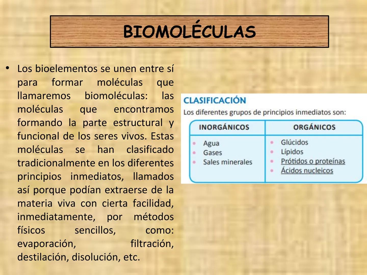 # PRIMERA CLASE DE BIOLOGÍA

"LA ESTRUCTURA QUÍMICA ES LA BASE DE LA VIDA"

Fe
Cr Mg
Zn Ca Na
Se
F
Cu

AGUA Y SALES
MINERALES

Glucosa

glic