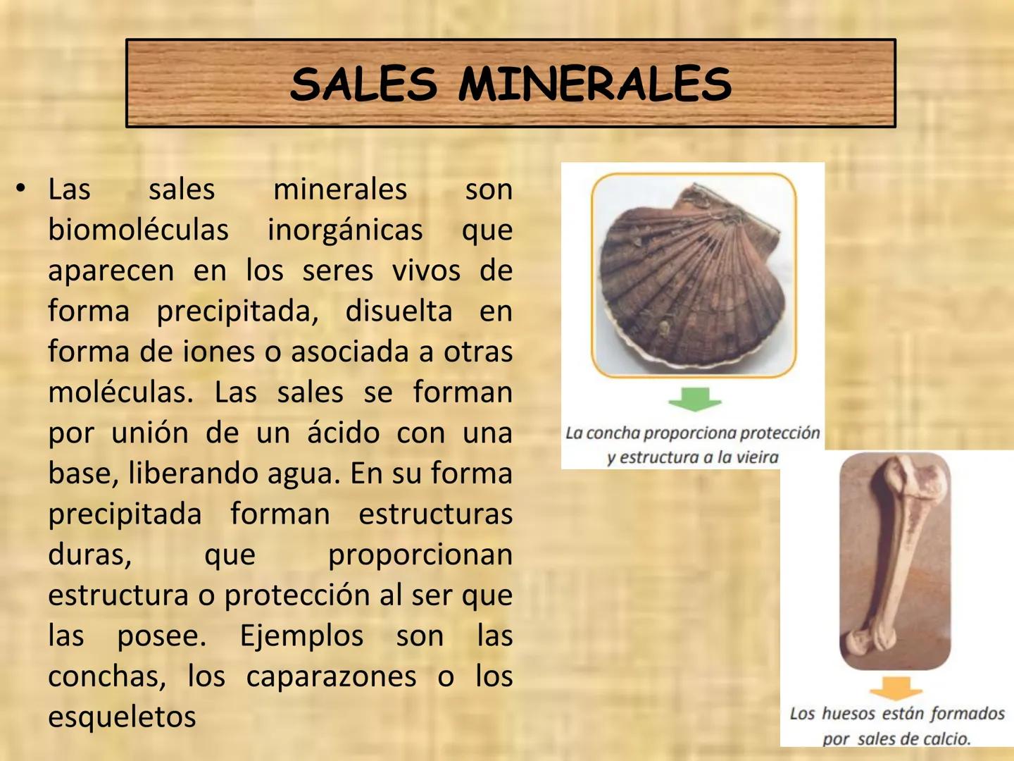 # PRIMERA CLASE DE BIOLOGÍA

"LA ESTRUCTURA QUÍMICA ES LA BASE DE LA VIDA"

Fe
Cr Mg
Zn Ca Na
Se
F
Cu

AGUA Y SALES
MINERALES

Glucosa

glic