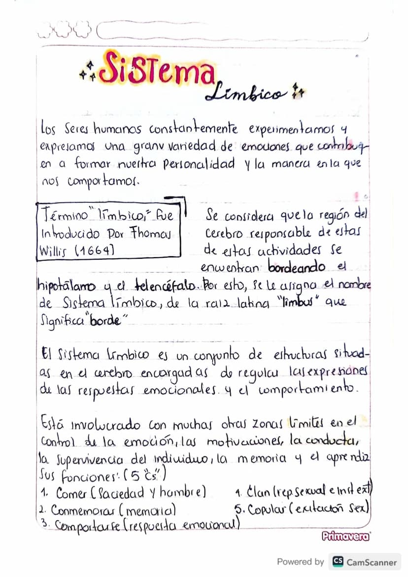 (E) sistema limbico tiene que ver con las emociones
Sistema limbico: Amigdala 2
es la que nos recuerda fituaciones que ya hemos pasado.
en n