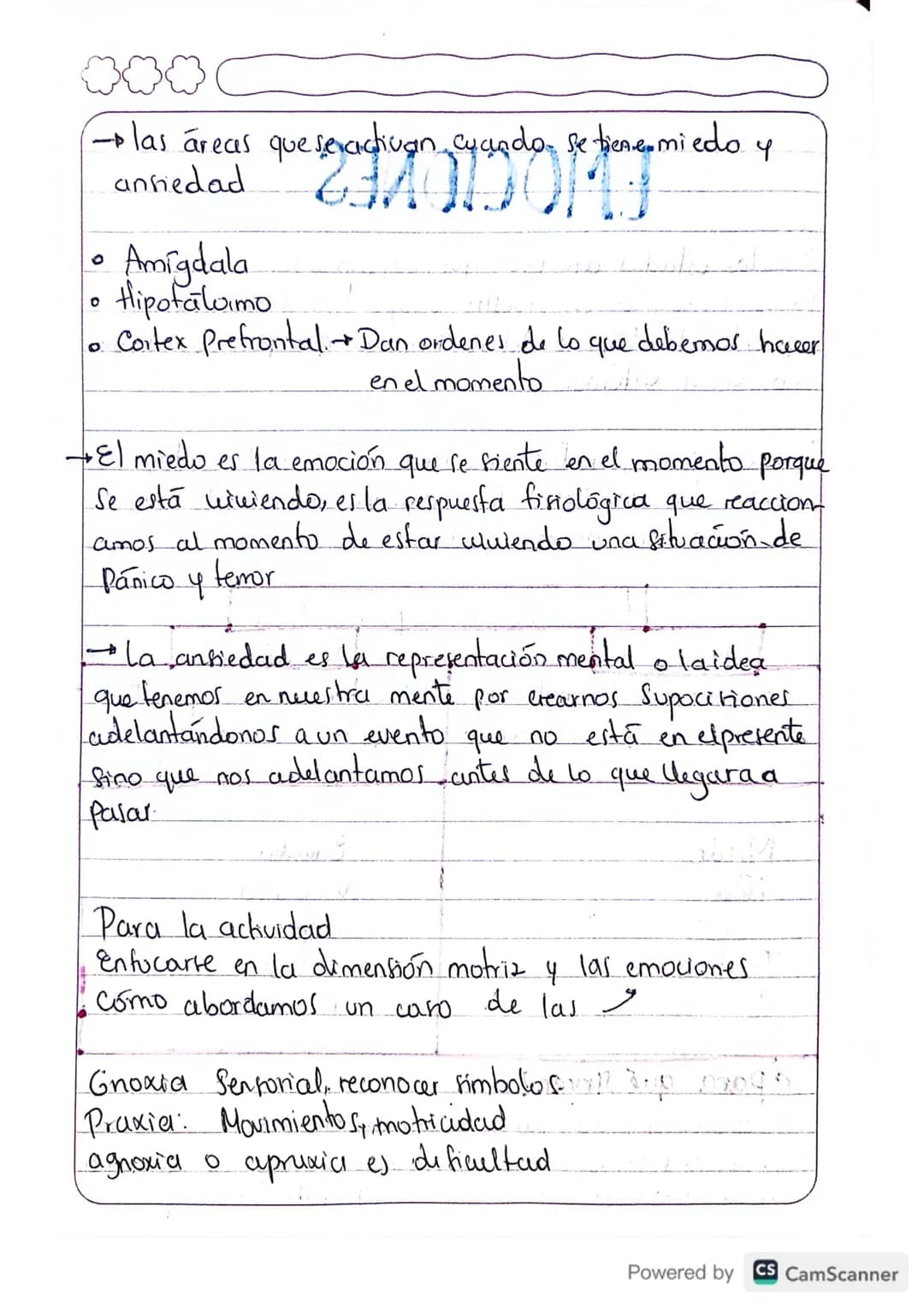 (E) sistema limbico tiene que ver con las emociones
Sistema limbico: Amigdala 2
es la que nos recuerda fituaciones que ya hemos pasado.
en n