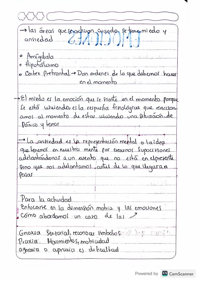 (E) sistema limbico tiene que ver con las emociones
Sistema limbico: Amigdala 2
es la que nos recuerda fituaciones que ya hemos pasado.
en n