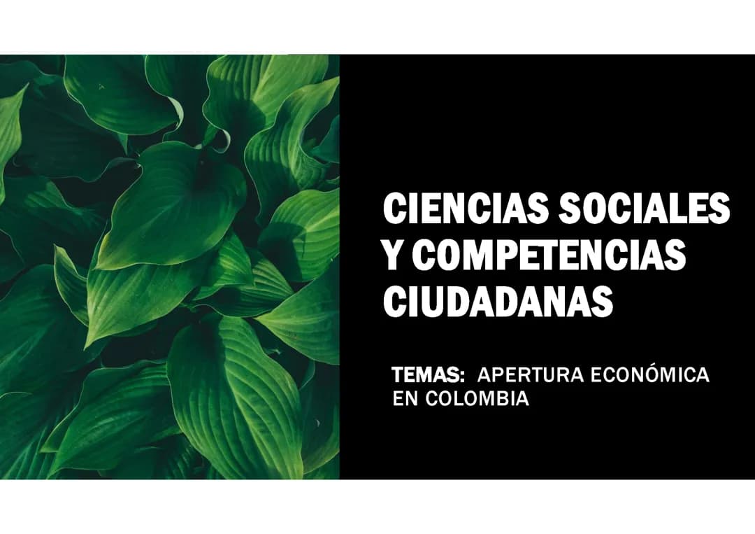 Todo sobre la Apertura Económica en Colombia: Ejemplos, Causas y Consecuencias
