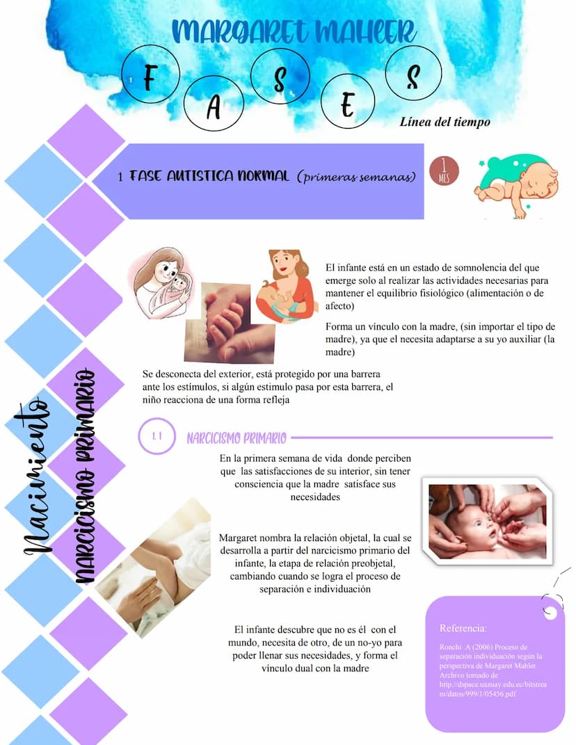 Nacimiento
NARCicismo PRIMARIO
MARGARET MAHCER
F
S
A
E
Línea del tiempo
1 FASE AUTISTICA NORMAL (primeras semanas)
MES
El infante está en un