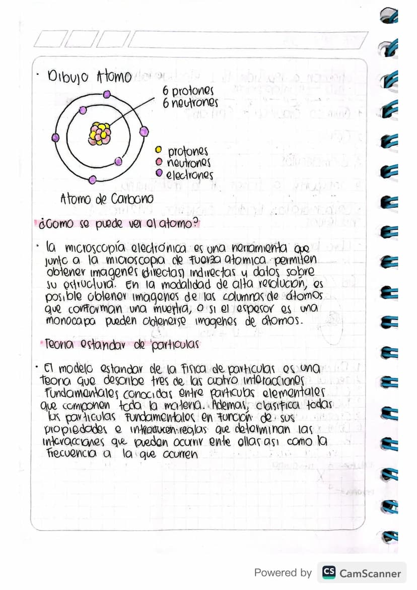 Dibujo Atomo do on byp
6 protones
6 neutrones
Atomo de Carbono
• protones
O neutrones
• electrones
¿Como se puede ver ol atomo?
•la microsco