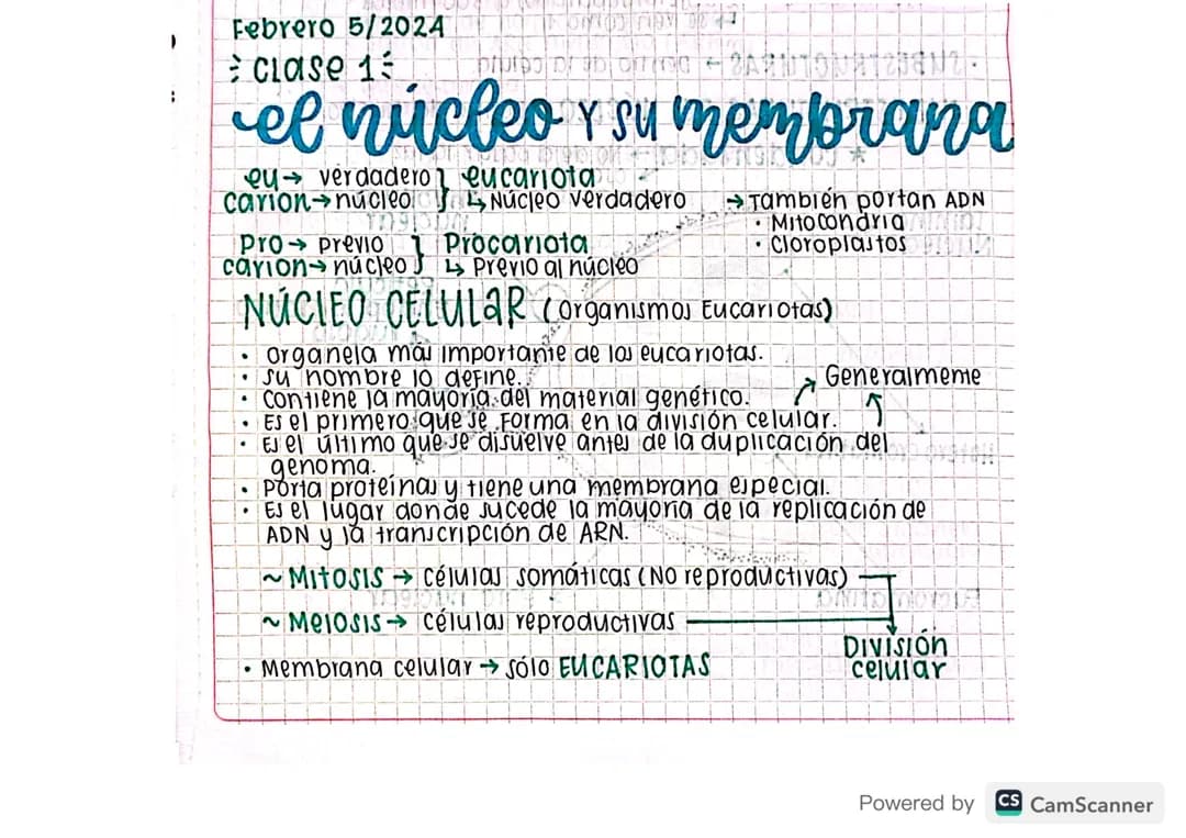 Biología grado 10 y 11 - El núcleo celular y su membrana