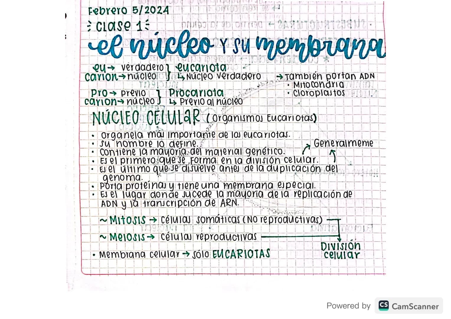 Febrero 5/2024
clase 1
el núcleo y su membrana
eu verdaderon eucariota
carion núcleo
Pro previO
carion núcleo!
•
.
.
.
.
Núcleo verdadero Ta