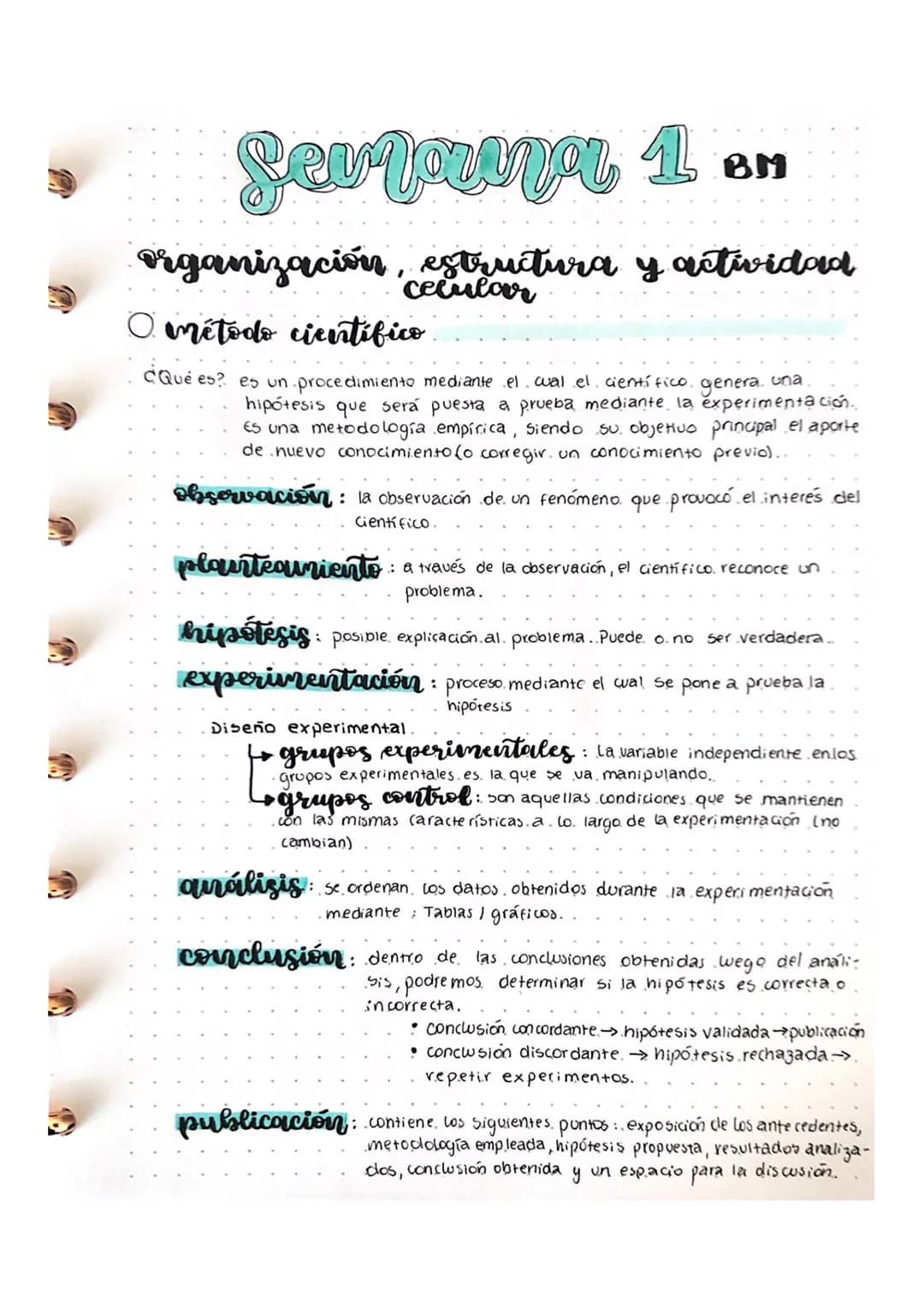 METODO CIENTIFICO 