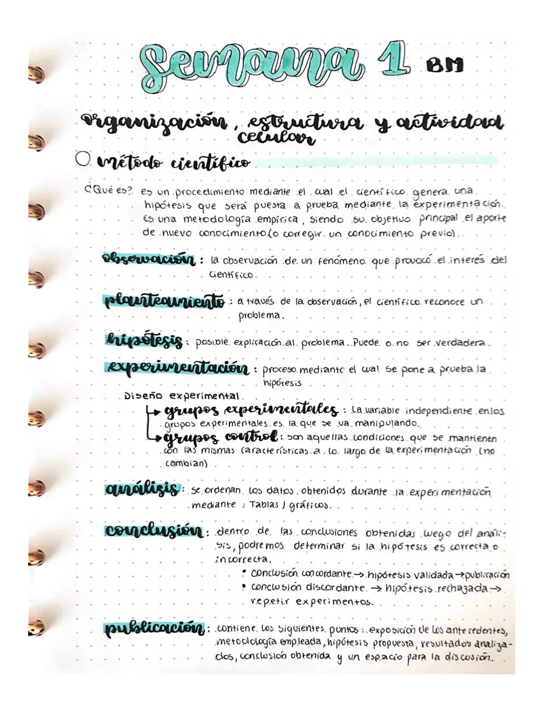 9
Sevrnunar 1 BH
organización, estructura y actividad
celular
método científico.
CQué es? es un procedimiento mediante el cual el científico