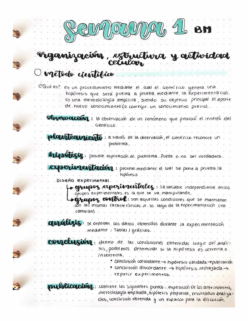 9
Sevrnunar 1 BH
organización, estructura y actividad
celular
método científico.
CQué es? es un procedimiento mediante el cual el científico