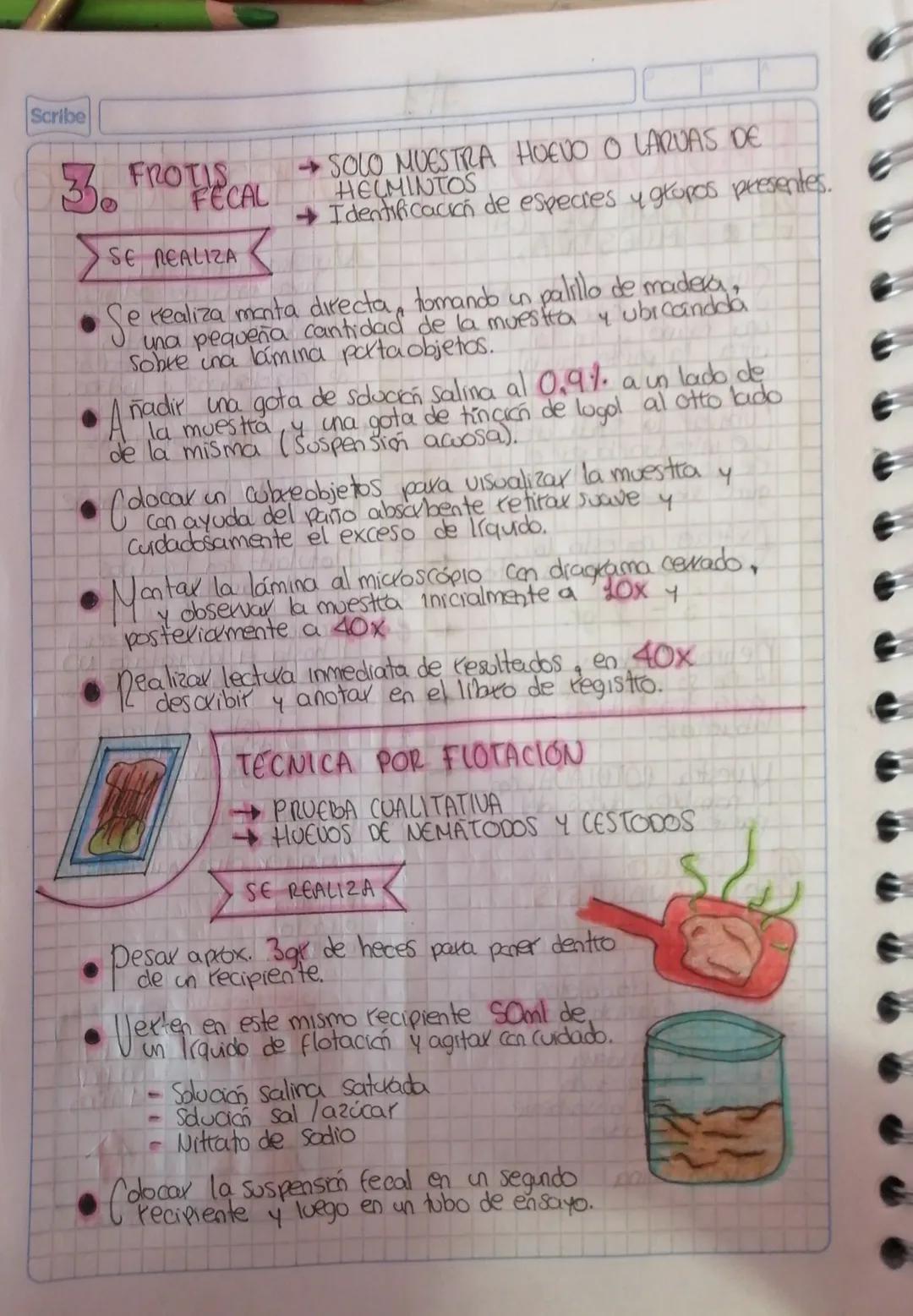 #1
Scribe
PROTOCOLO PARA COPROLÓGICO
O MUESTRA.
Sujetar al paciente del
una mano con la
By Caberg con
otta la parte caudal,
abtazando el ala