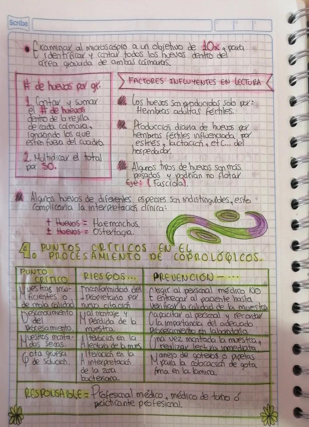 #1
Scribe
PROTOCOLO PARA COPROLÓGICO
O MUESTRA.
Sujetar al paciente del
una mano con la
By Caberg con
otta la parte caudal,
abtazando el ala
