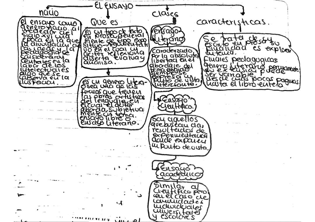 Ensayo Argumentativo Estructurado
