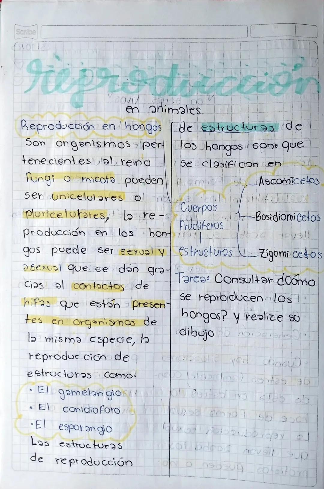 21000723-3/Oct/23 Matenge Biologia
Scribe]
*reproducción
en seres vivos
No se
diferentes especies,
pueden reproducir
debido a que no tienen
